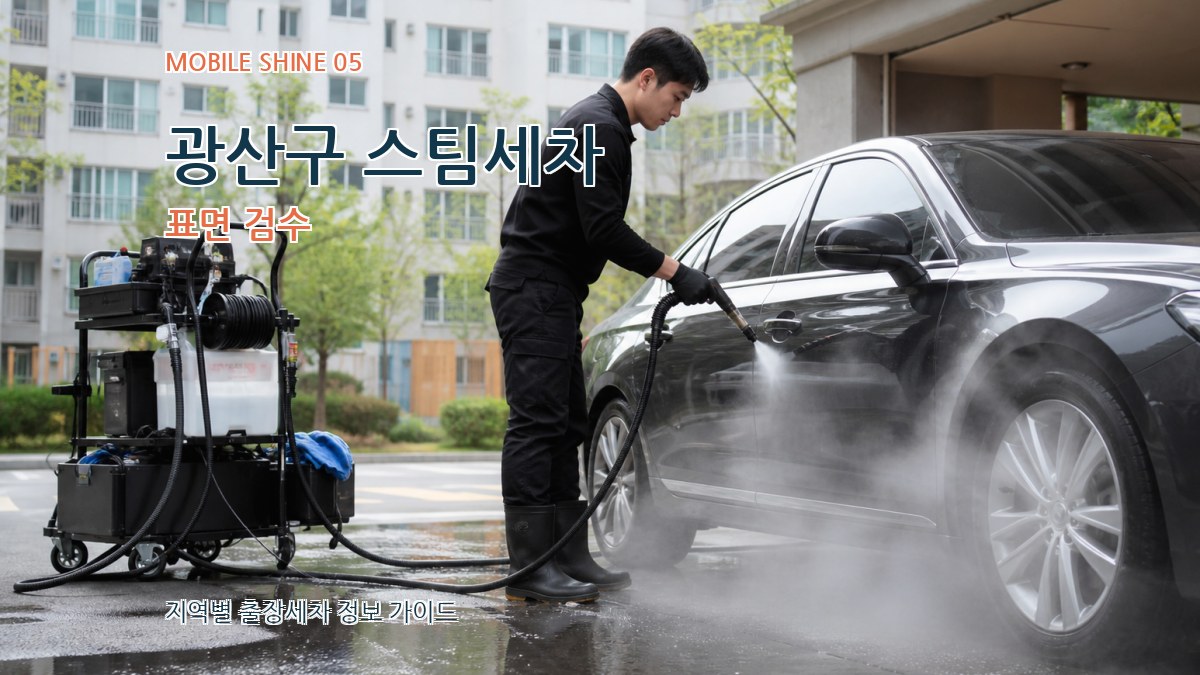광산구 스팀세차 표면 검수