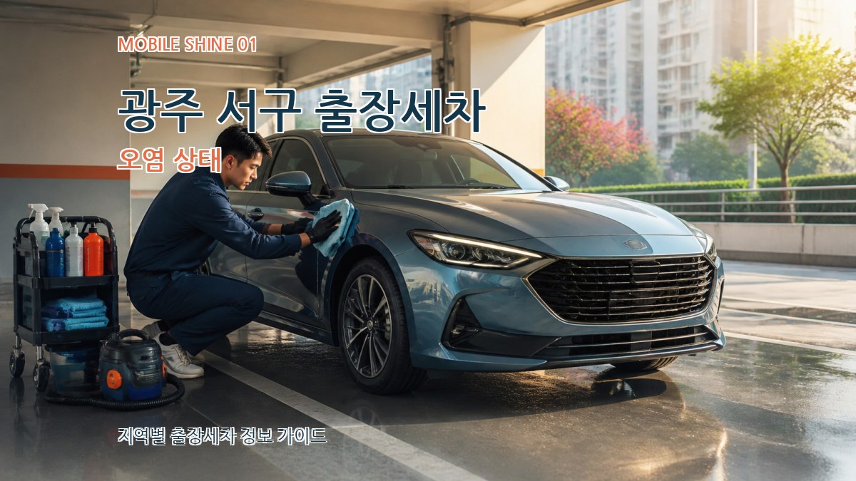 광주 서구 출장세차 오염 상태