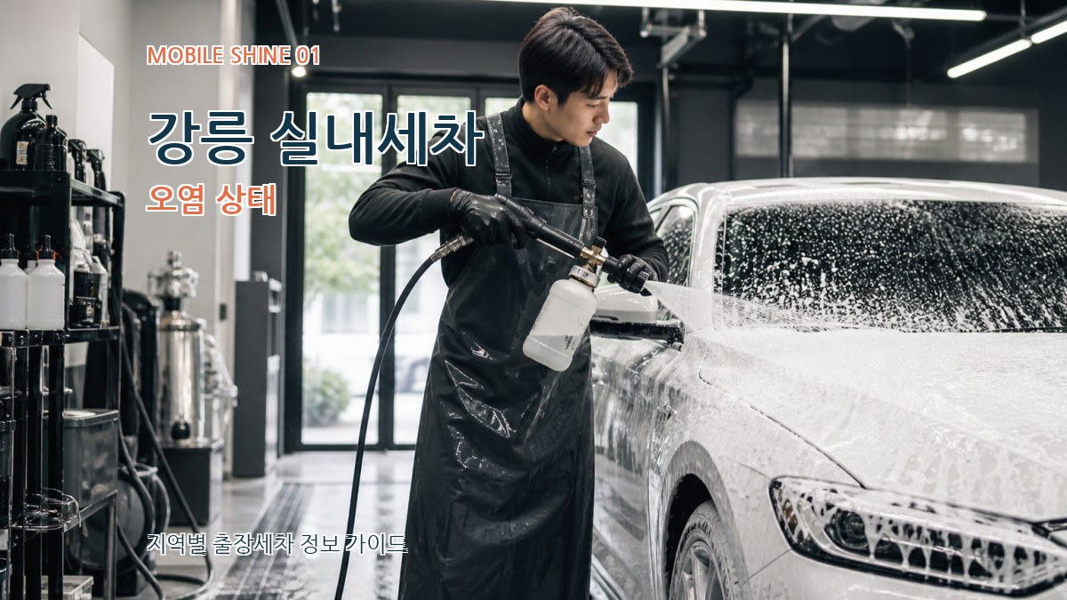 강릉 실내세차 오염 상태