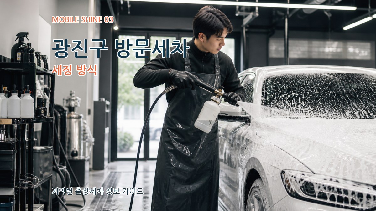 광진구 방문세차 세정 방식