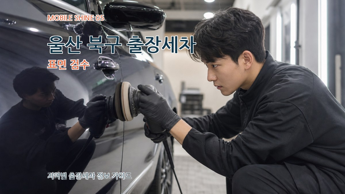 울산 북구 출장세차 표면 검수