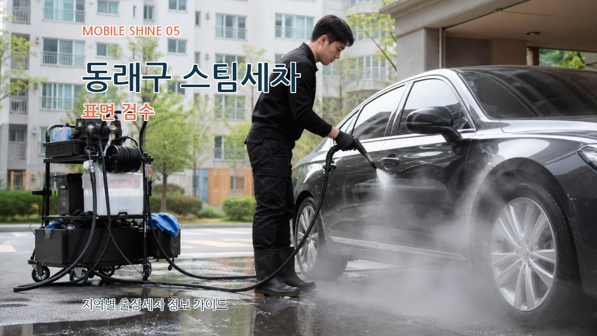 동래구 스팀세차 표면 검수