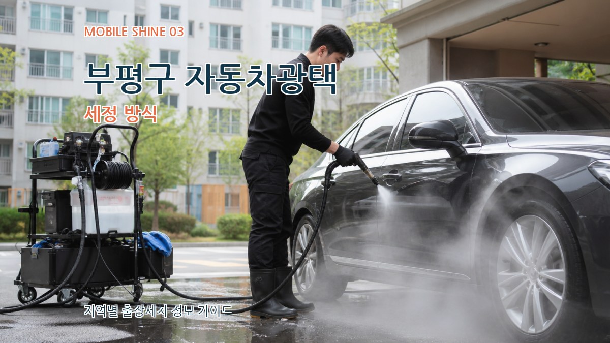 부평구 자동차광택 세정 방식