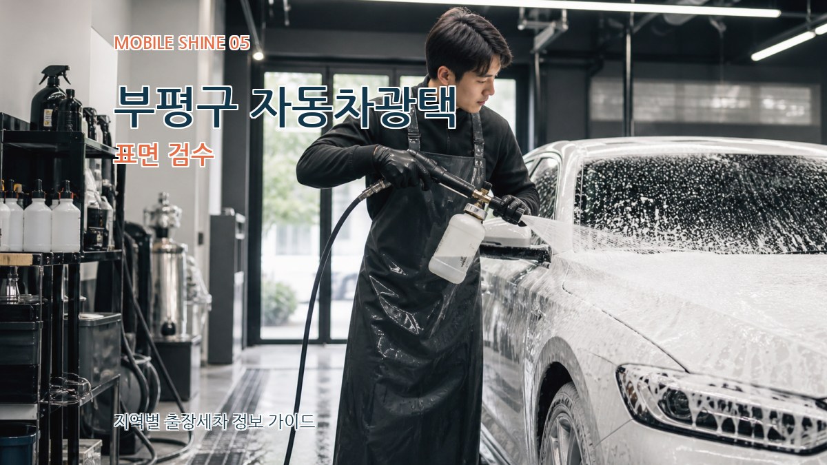 부평구 자동차광택 표면 검수