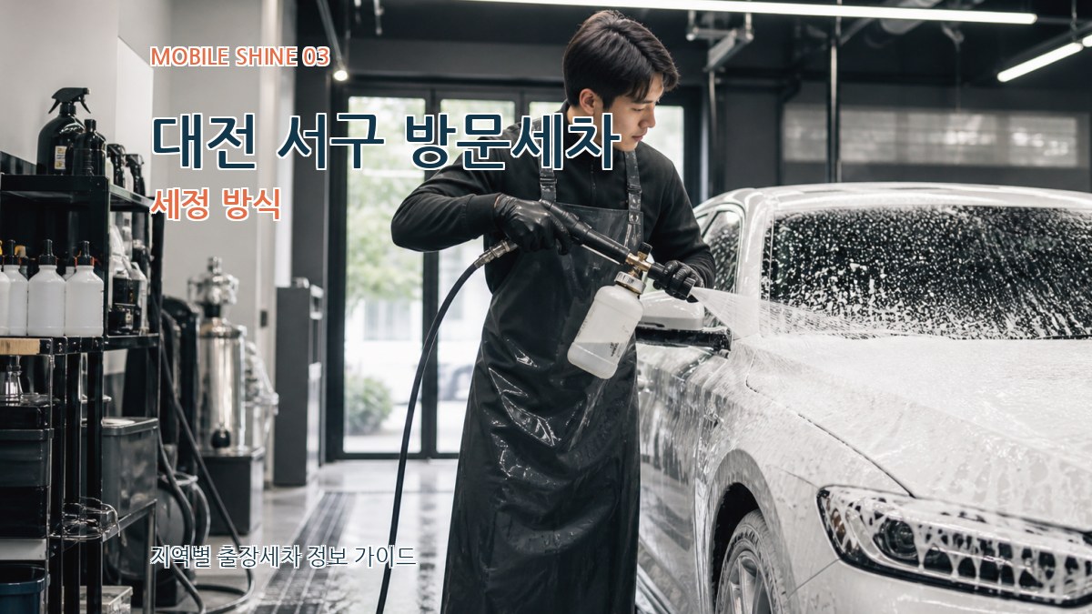 대전 서구 방문세차 세정 방식