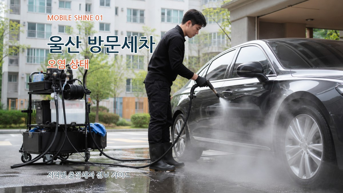 울산 방문세차 오염 상태