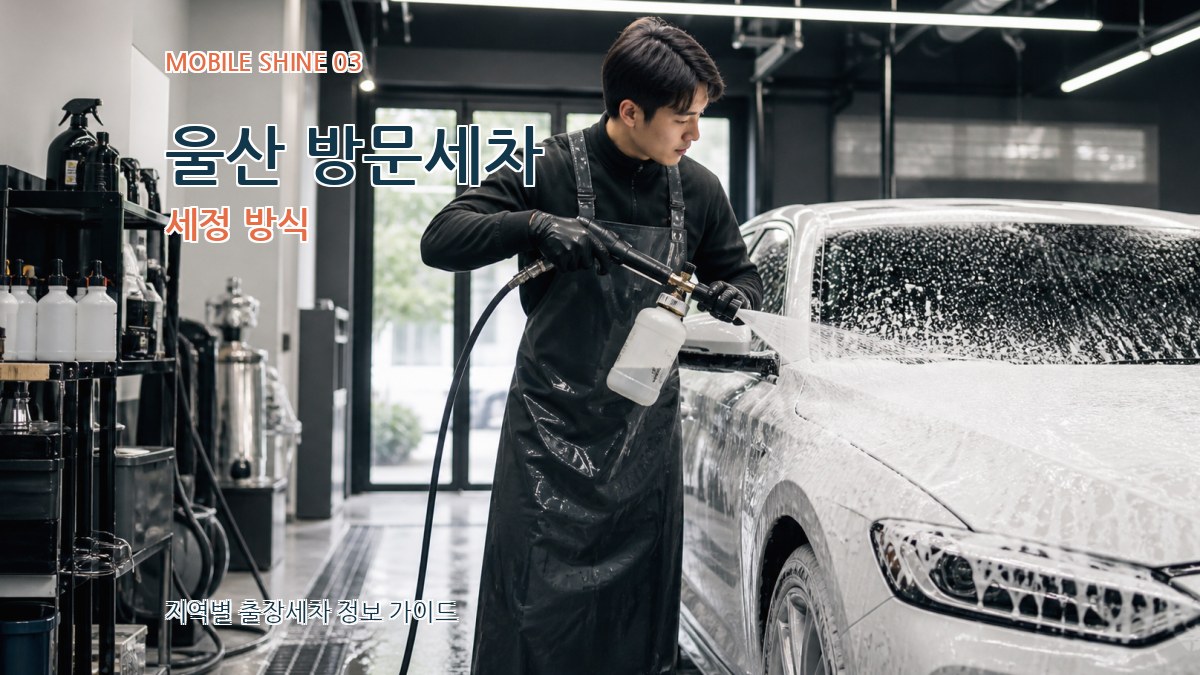 울산 방문세차 세정 방식