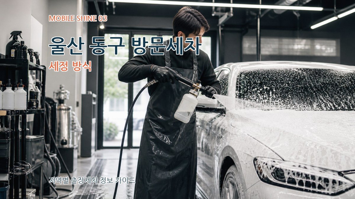 울산 동구 방문세차 세정 방식