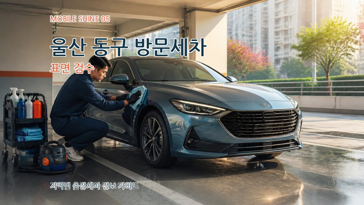 울산 동구 방문세차 표면 검수