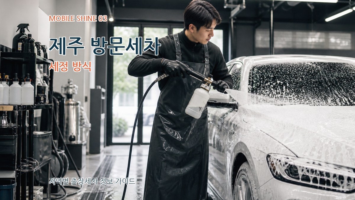 제주 방문세차 세정 방식
