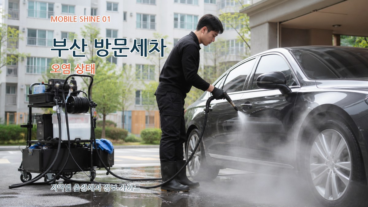 부산 방문세차 오염 상태