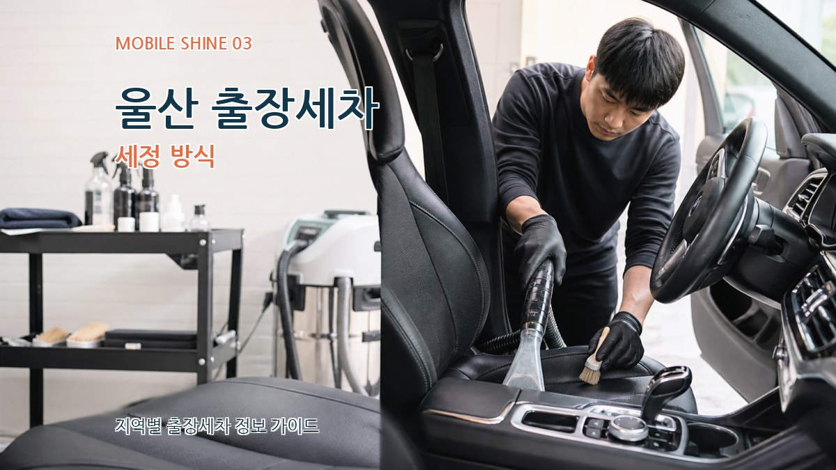 울산 출장세차 세정 방식