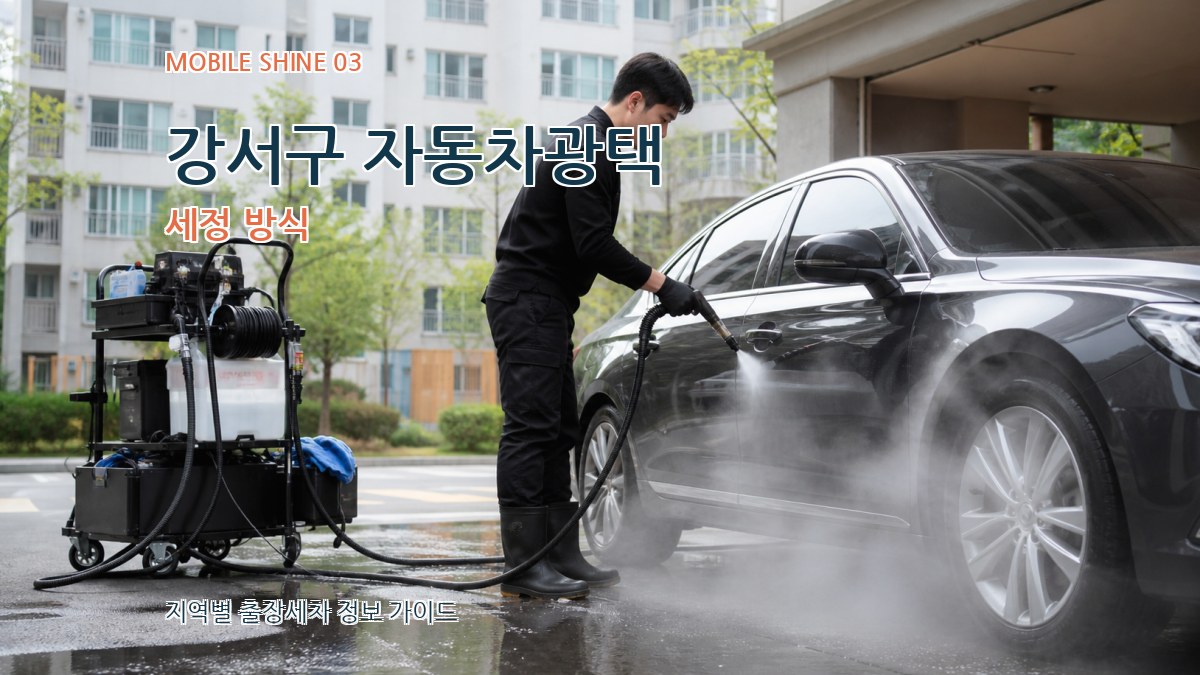 강서구 자동차광택 세정 방식
