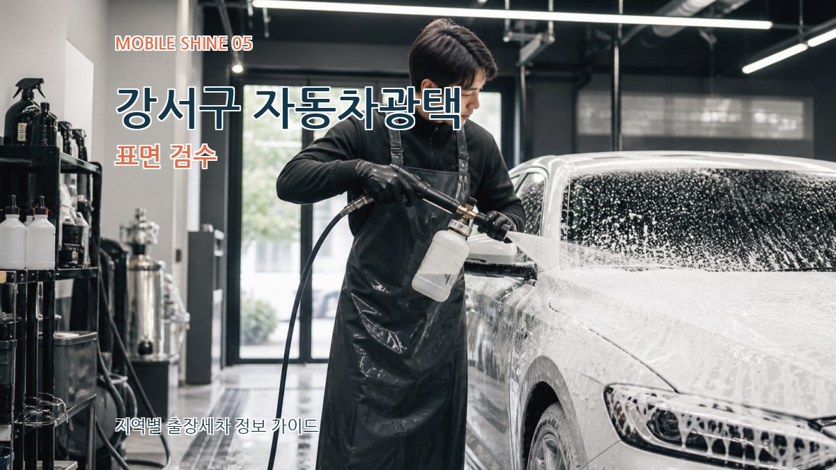 강서구 자동차광택 표면 검수
