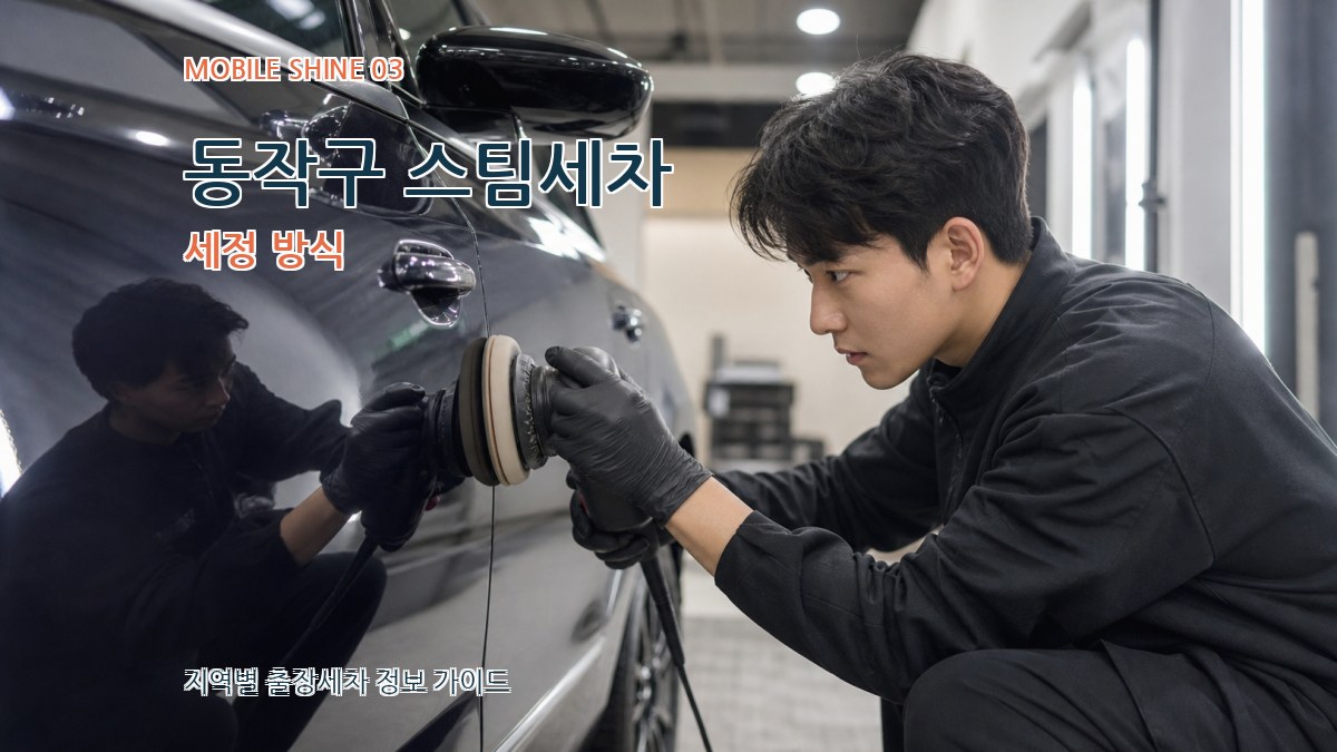 동작구 스팀세차 세정 방식