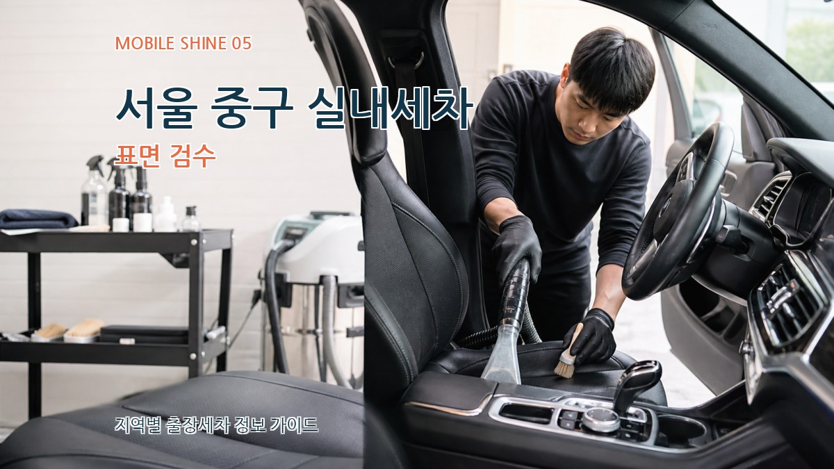 서울 중구 실내세차 표면 검수