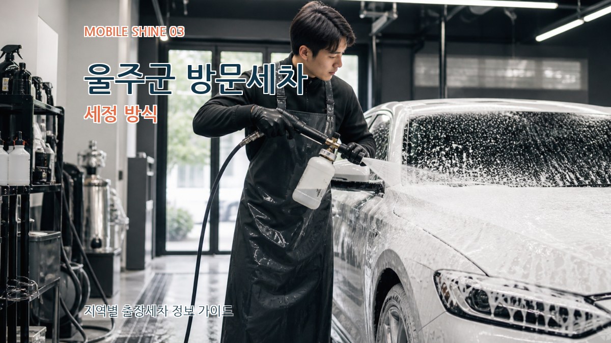 울주군 방문세차 세정 방식