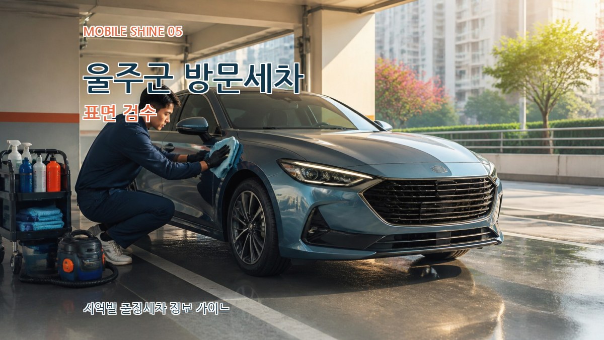 울주군 방문세차 표면 검수