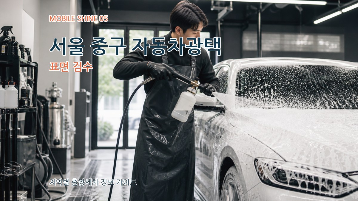 서울 중구 자동차광택 표면 검수