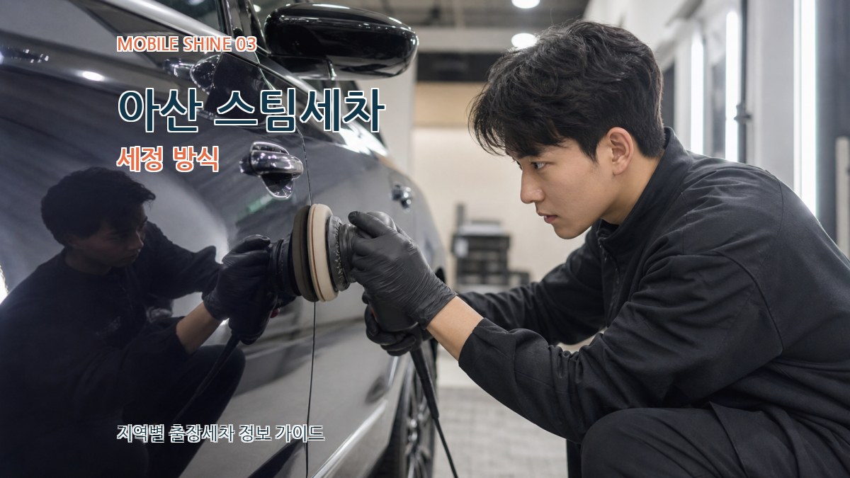 아산 스팀세차 세정 방식