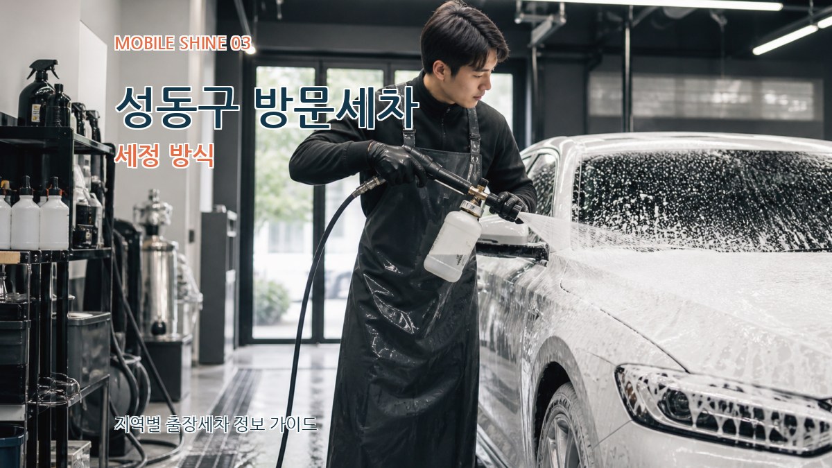 성동구 방문세차 세정 방식