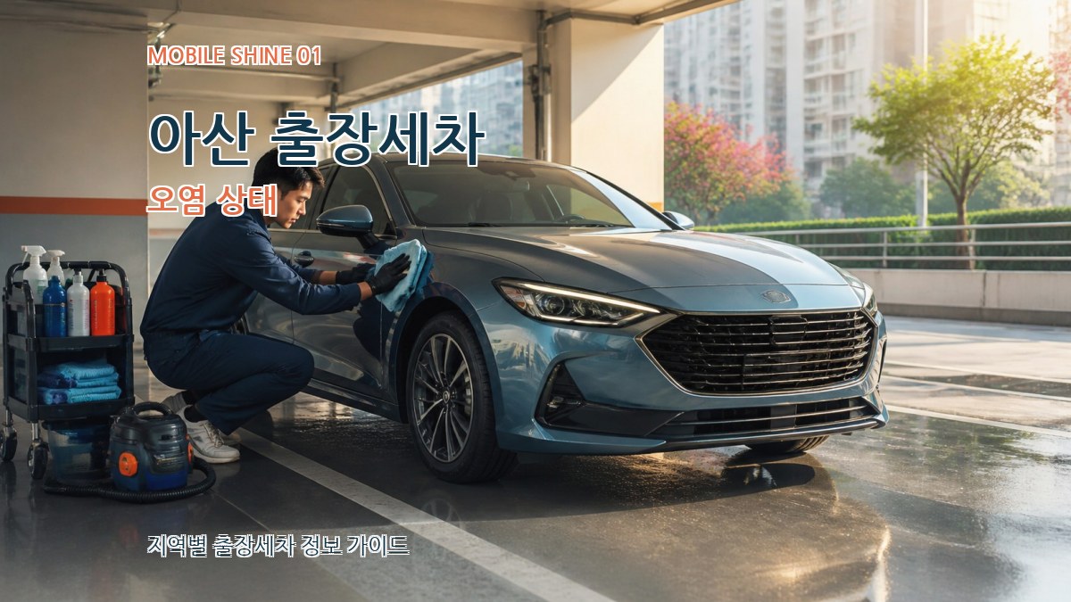 아산 출장세차
