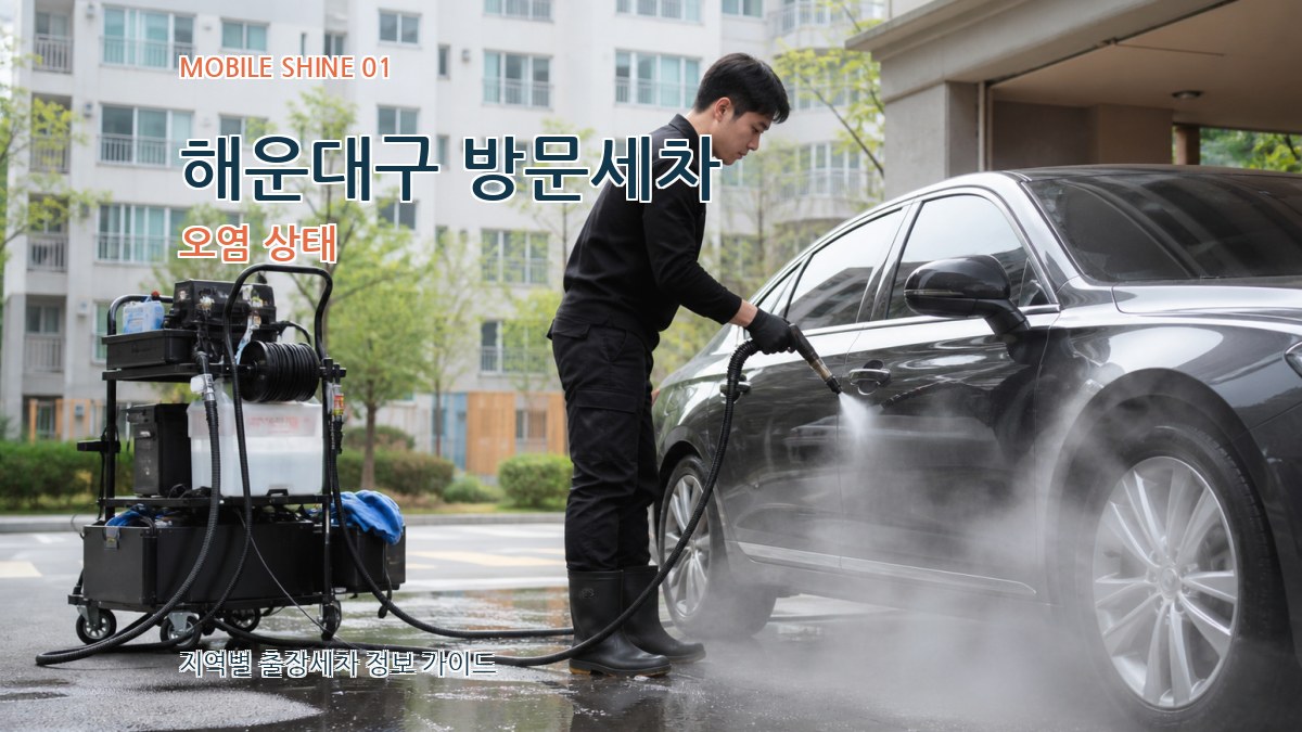 해운대구 방문세차 오염 상태