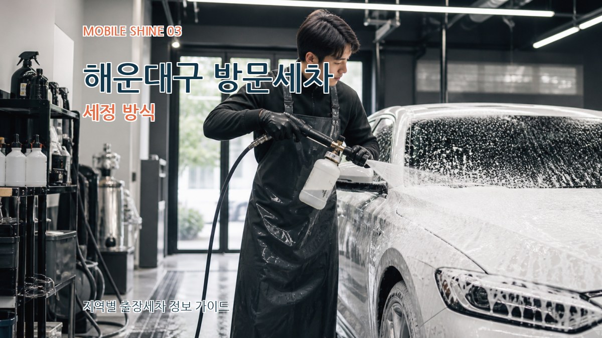 해운대구 방문세차 세정 방식