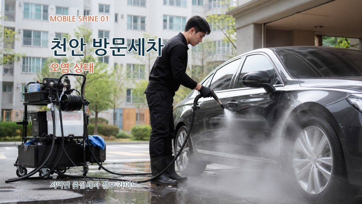 천안 방문세차 오염 상태