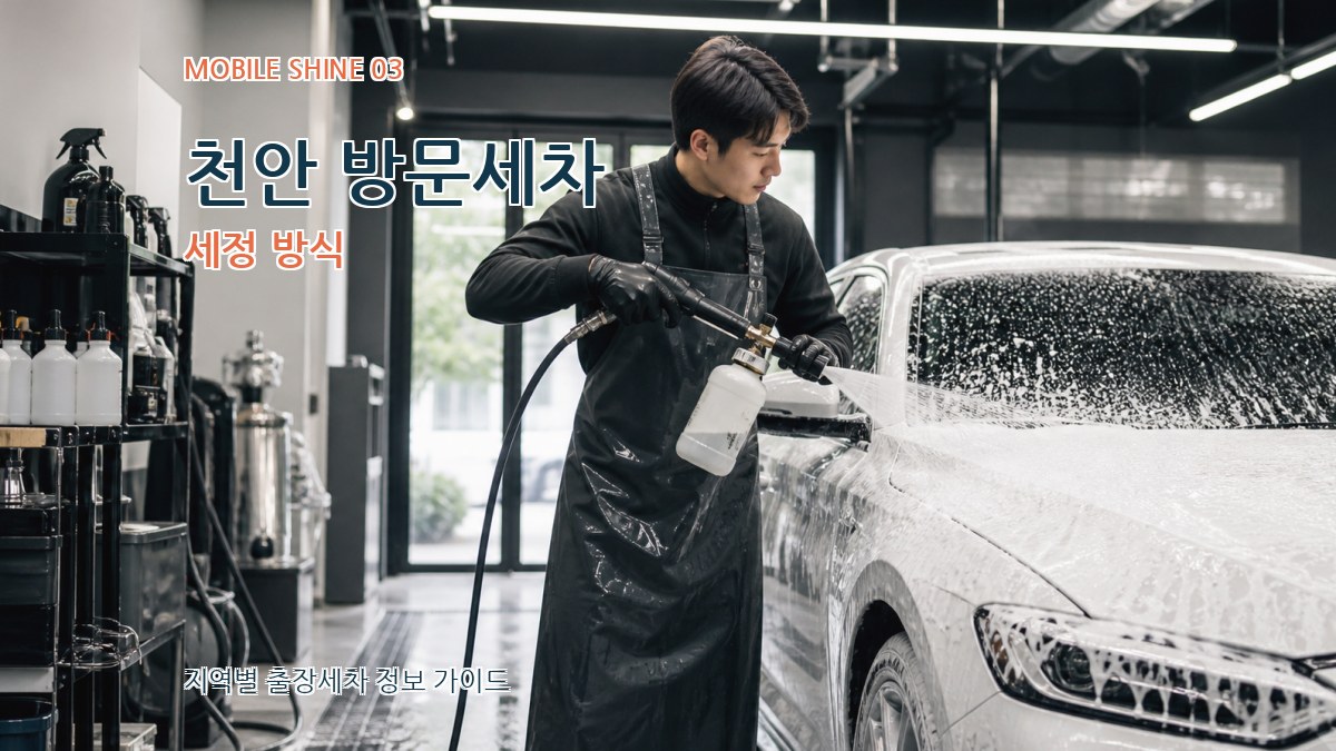 천안 방문세차 세정 방식