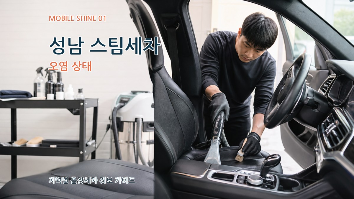 성남 스팀세차