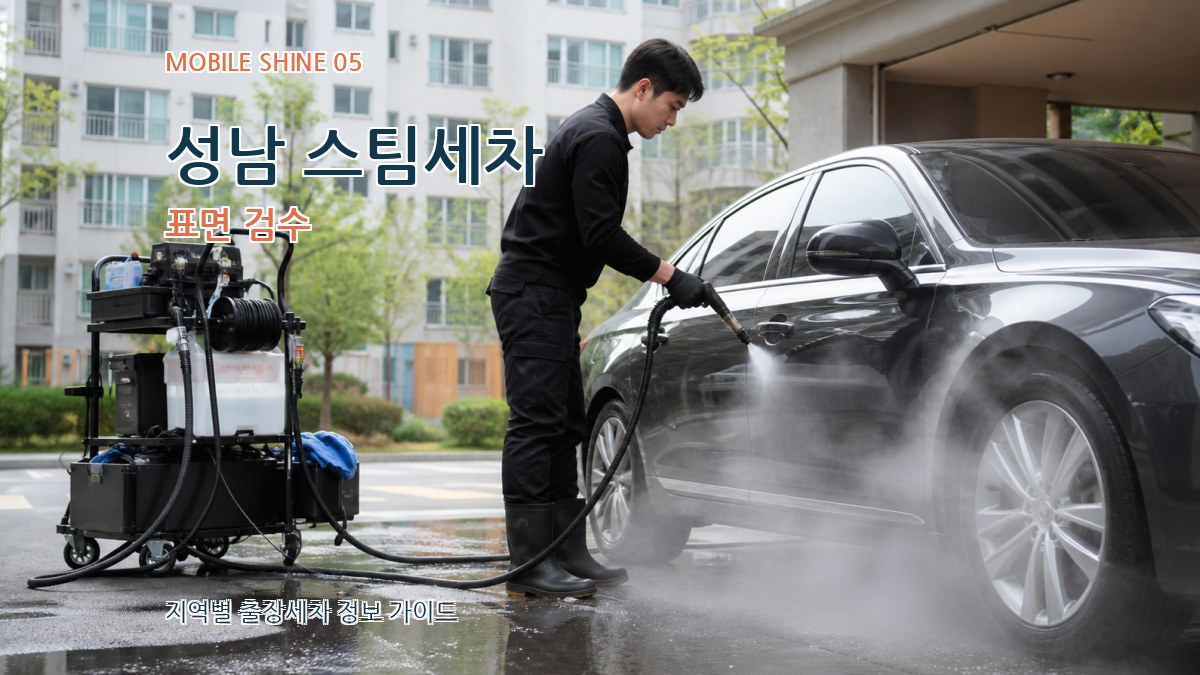 성남 스팀세차 표면 검수
