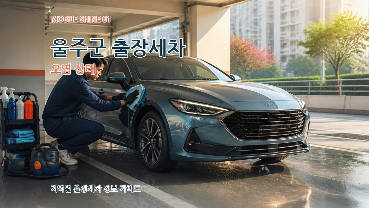 울주군 출장세차