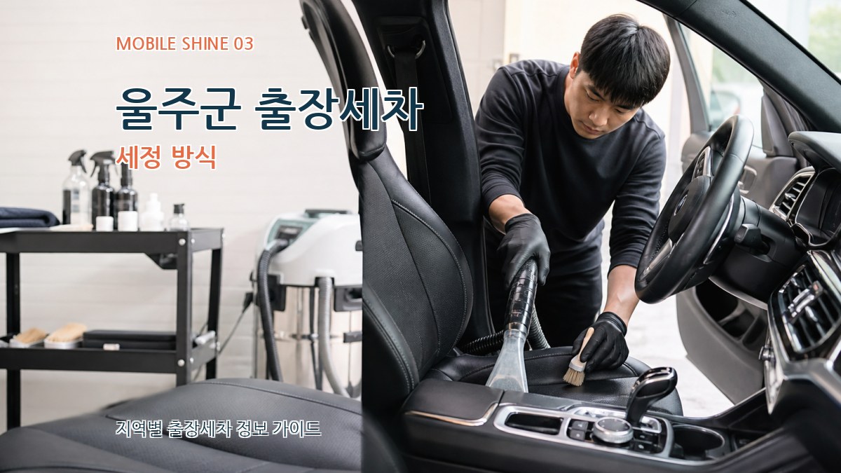 울주군 출장세차 세정 방식