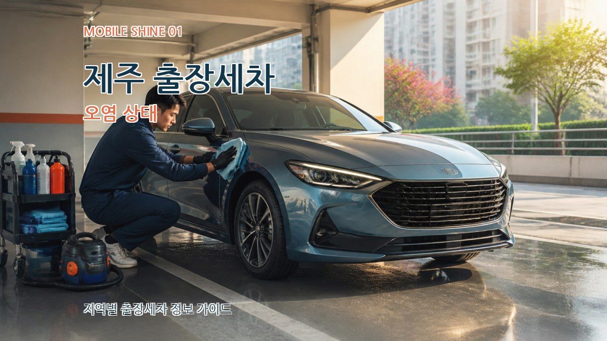 제주 출장세차