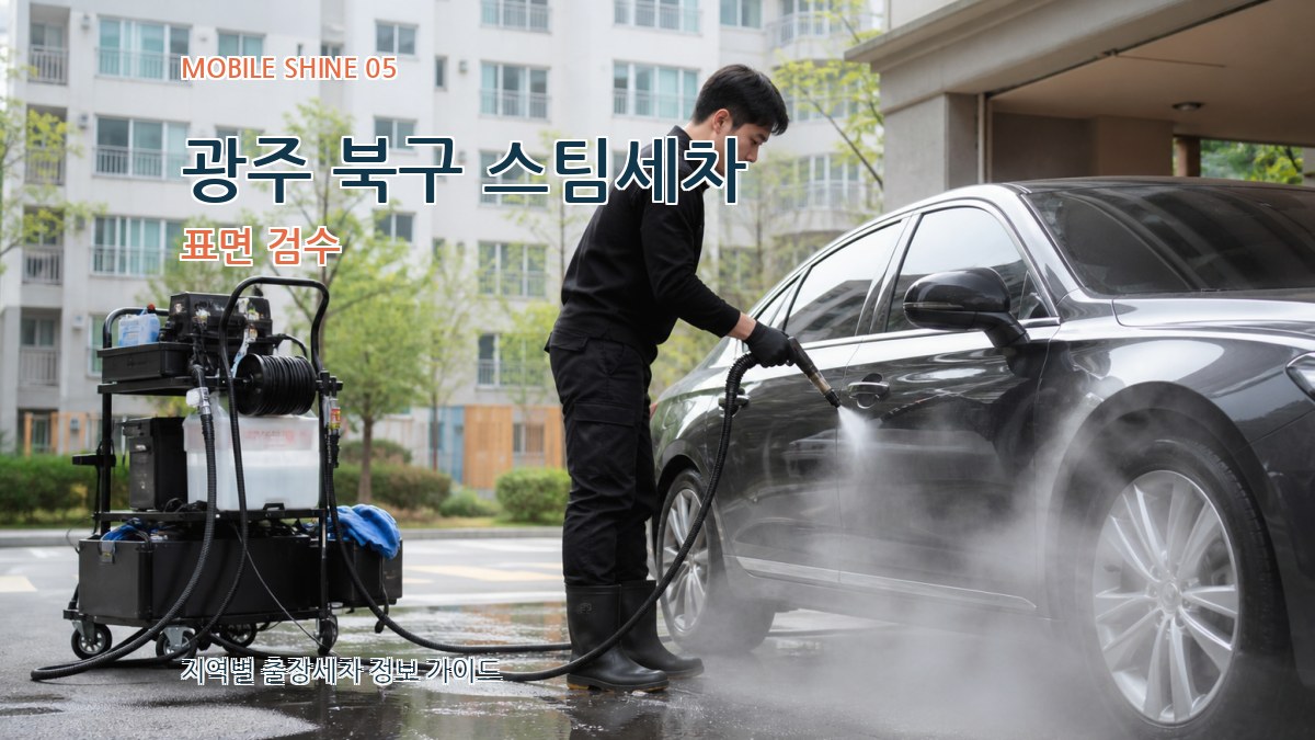 광주 북구 스팀세차 표면 검수