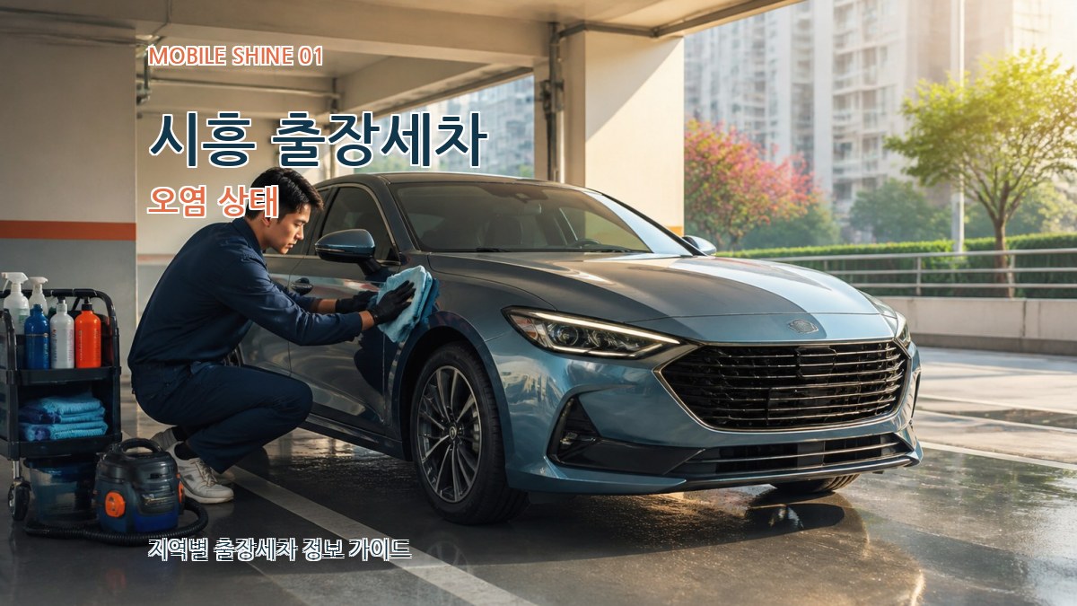 시흥 출장세차
