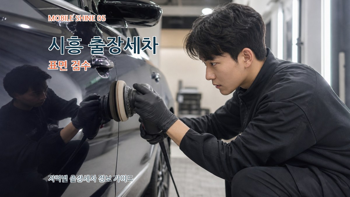 시흥 출장세차 표면 검수