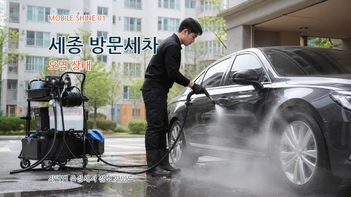 세종 방문세차 오염 상태