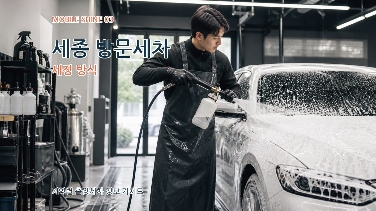 세종 방문세차 세정 방식