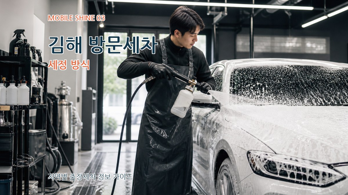 김해 방문세차 세정 방식