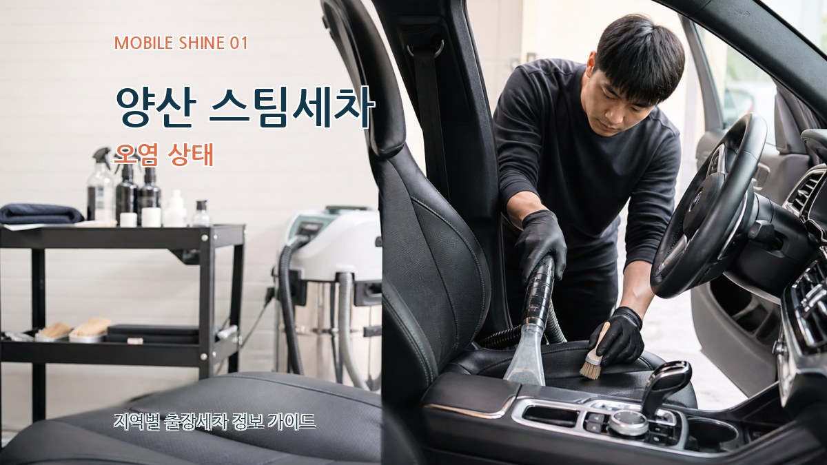 양산 스팀세차