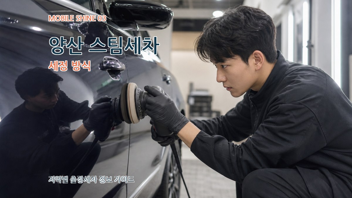 양산 스팀세차 세정 방식