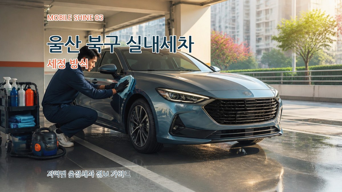 울산 북구 실내세차 세정 방식