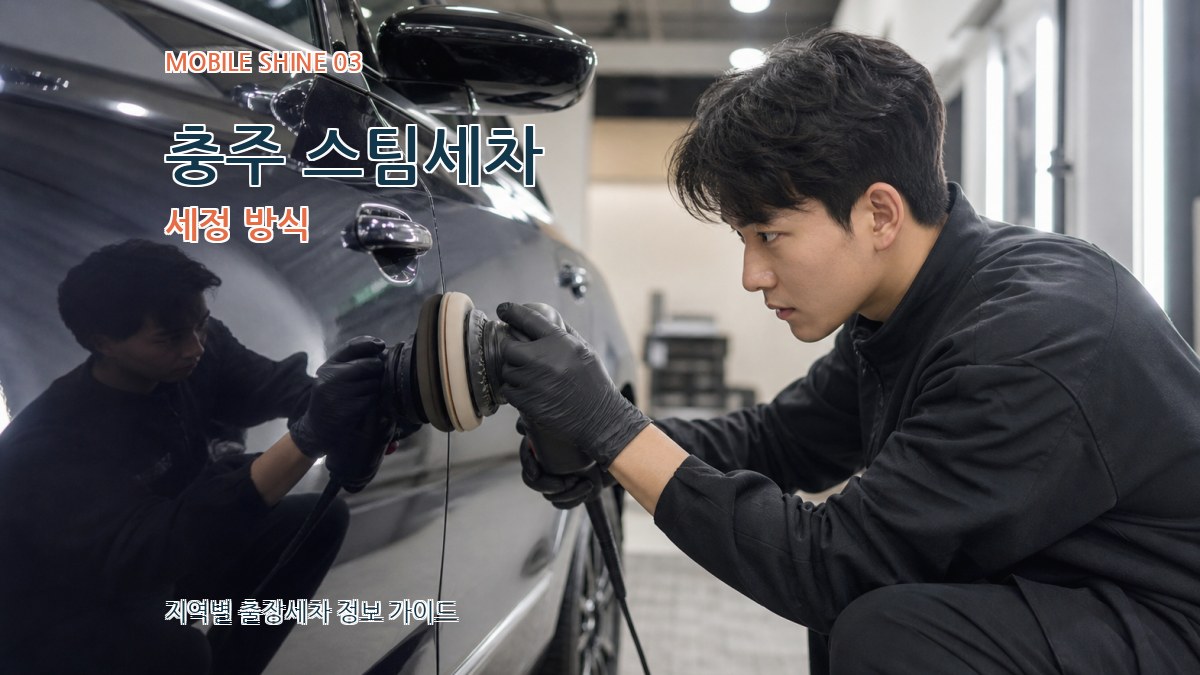 충주 스팀세차 세정 방식