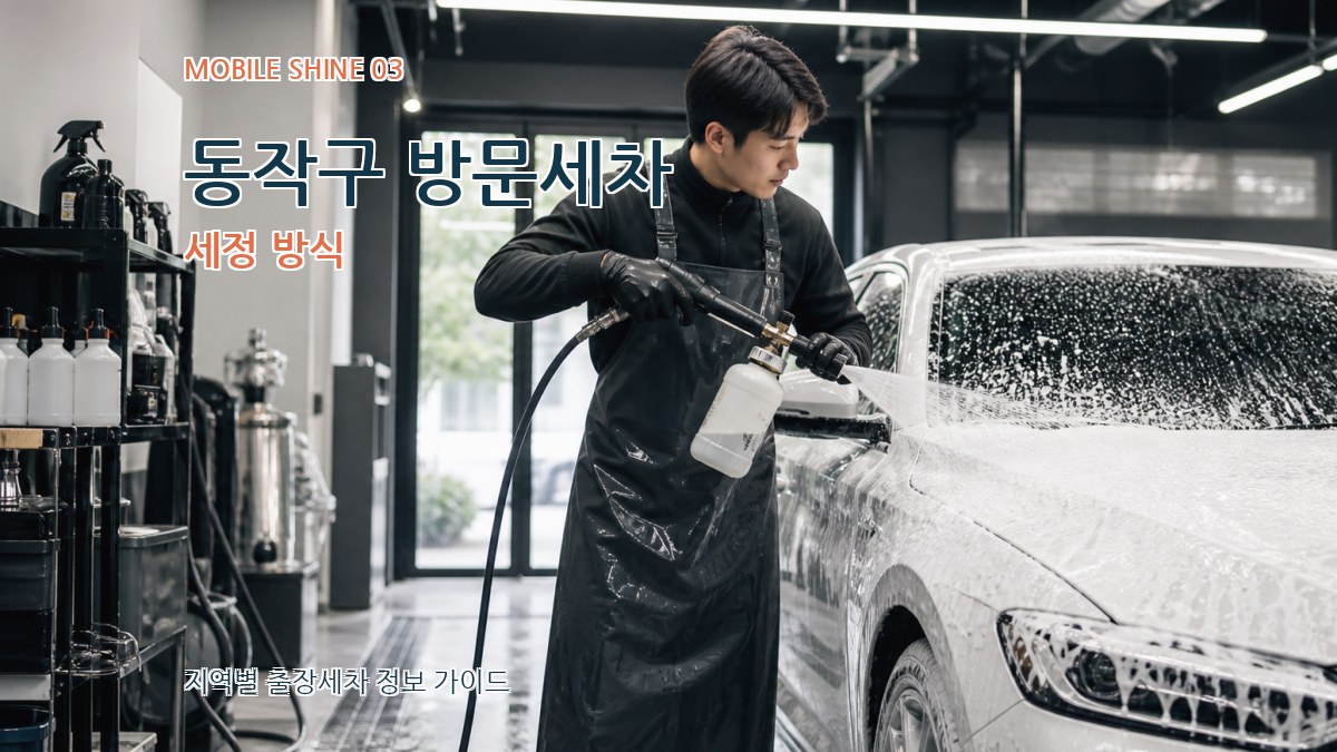 동작구 방문세차 세정 방식