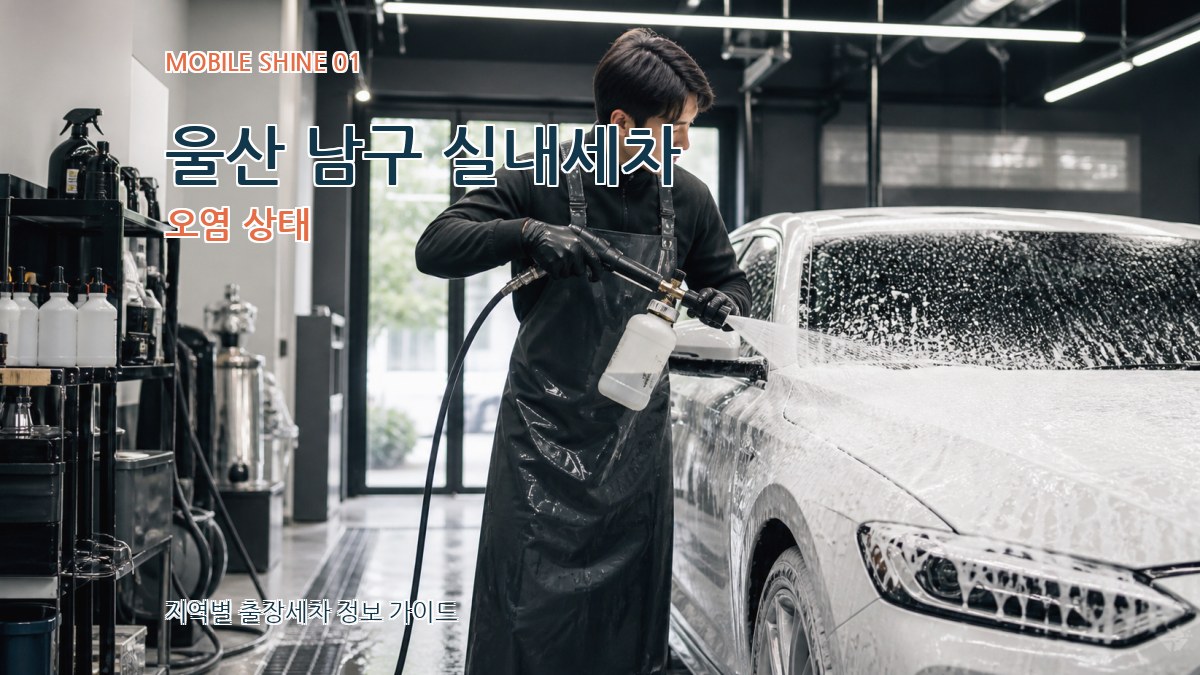 울산 남구 실내세차