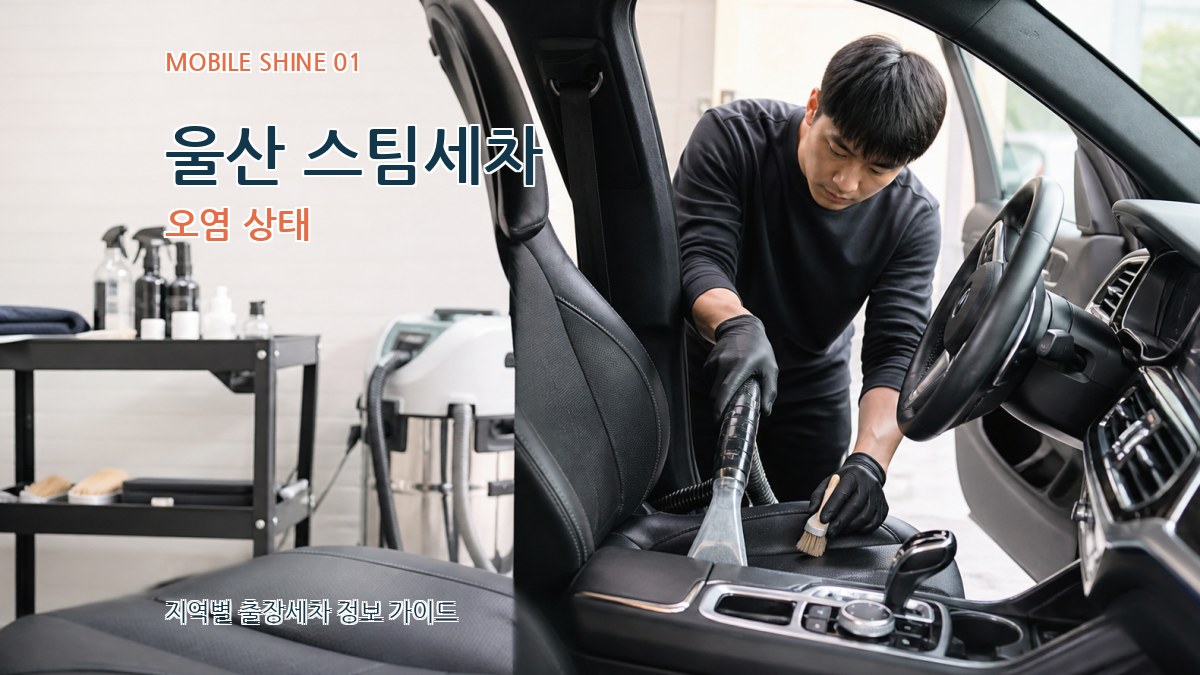 울산 스팀세차