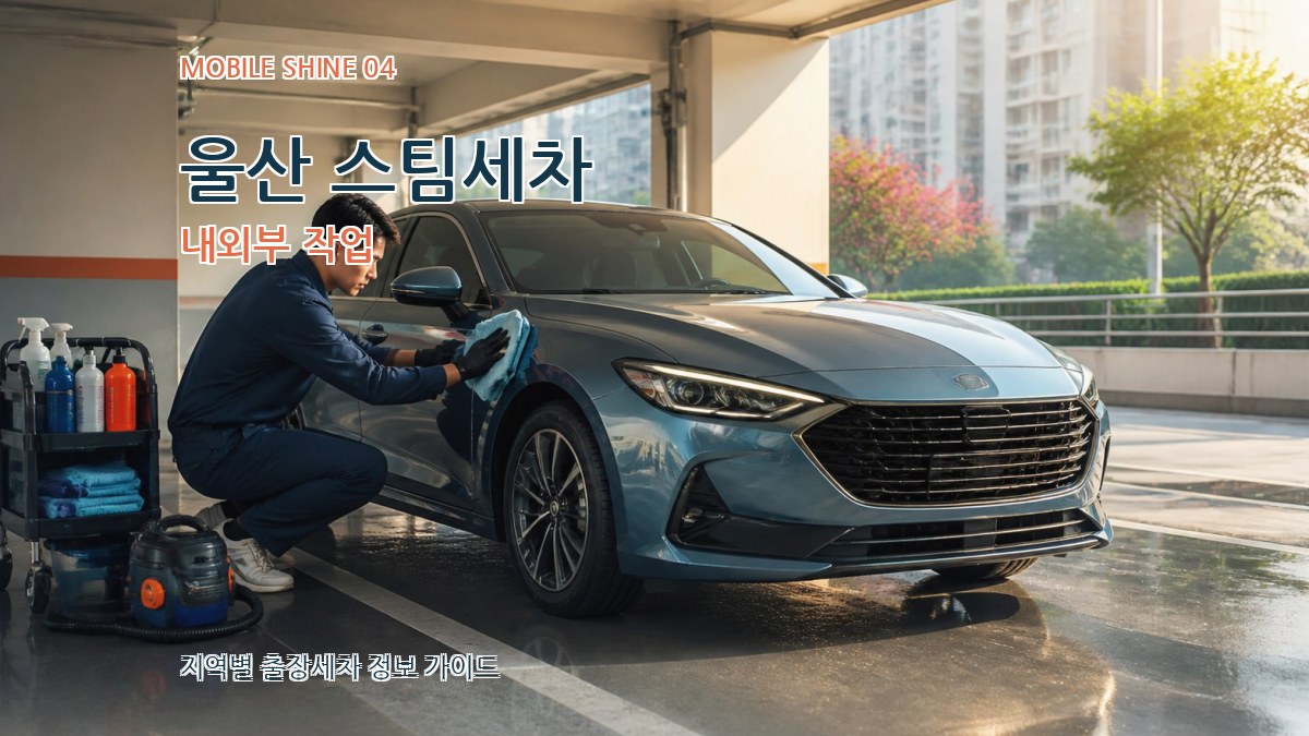 울산 스팀세차 내외부 작업