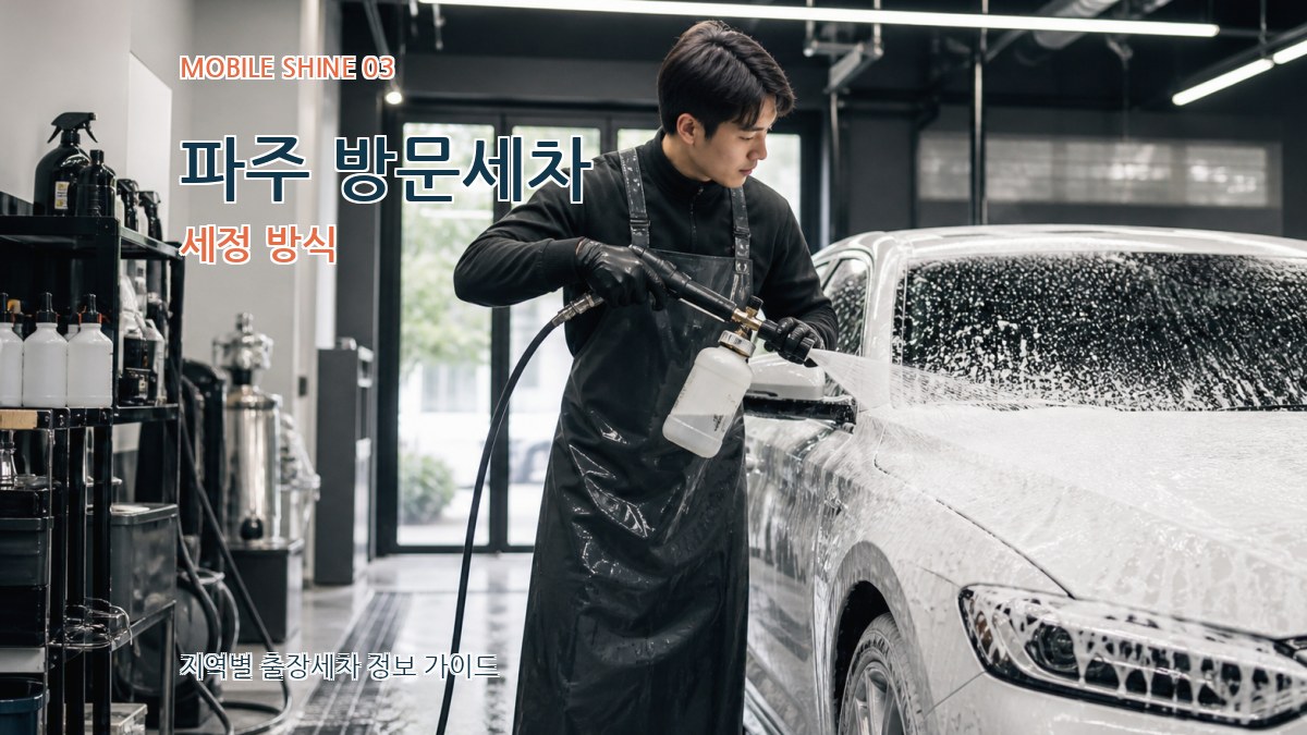 파주 방문세차 세정 방식